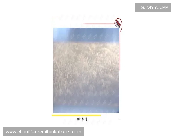 在必赢平台官网注册账号享受丰富的游戏资源和专业的技术支持提升你的游戏体验