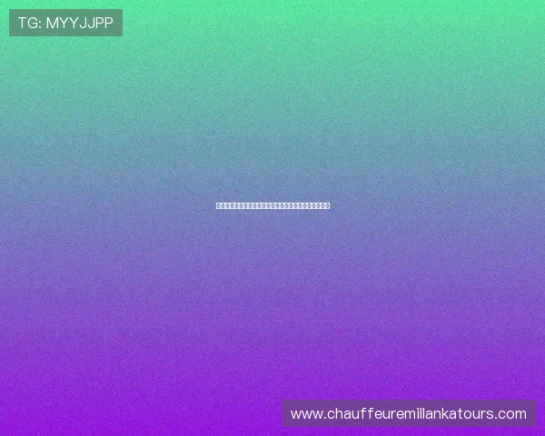 夺宝龙虎斗全新版本上线带你体验极致刺激的宝藏争夺战